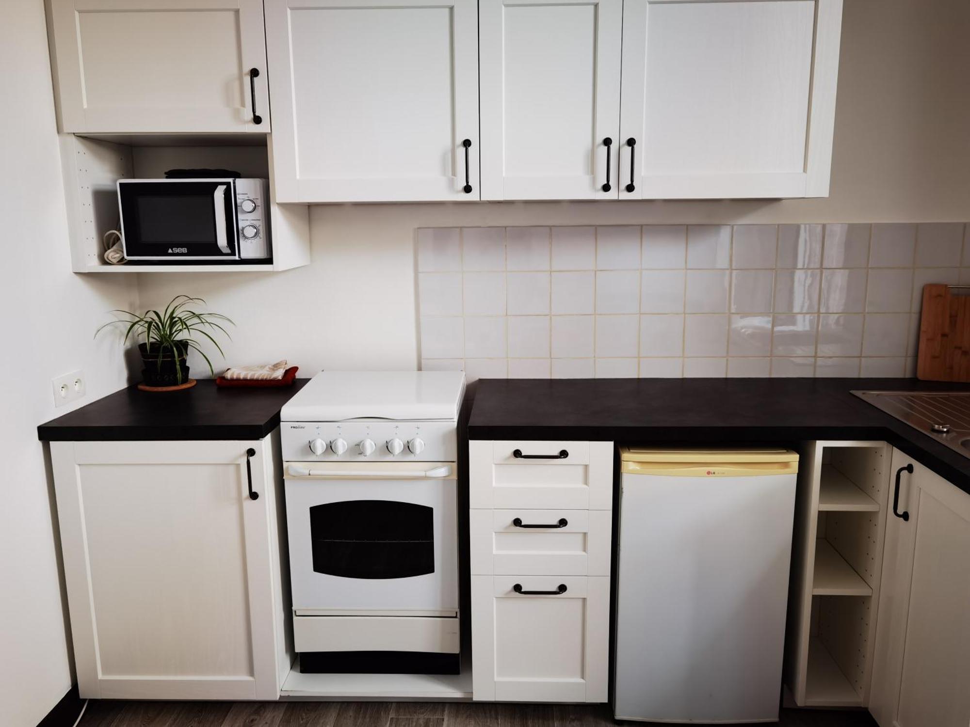 Appartement Les Camélias à Le Mont-Dore Extérieur photo